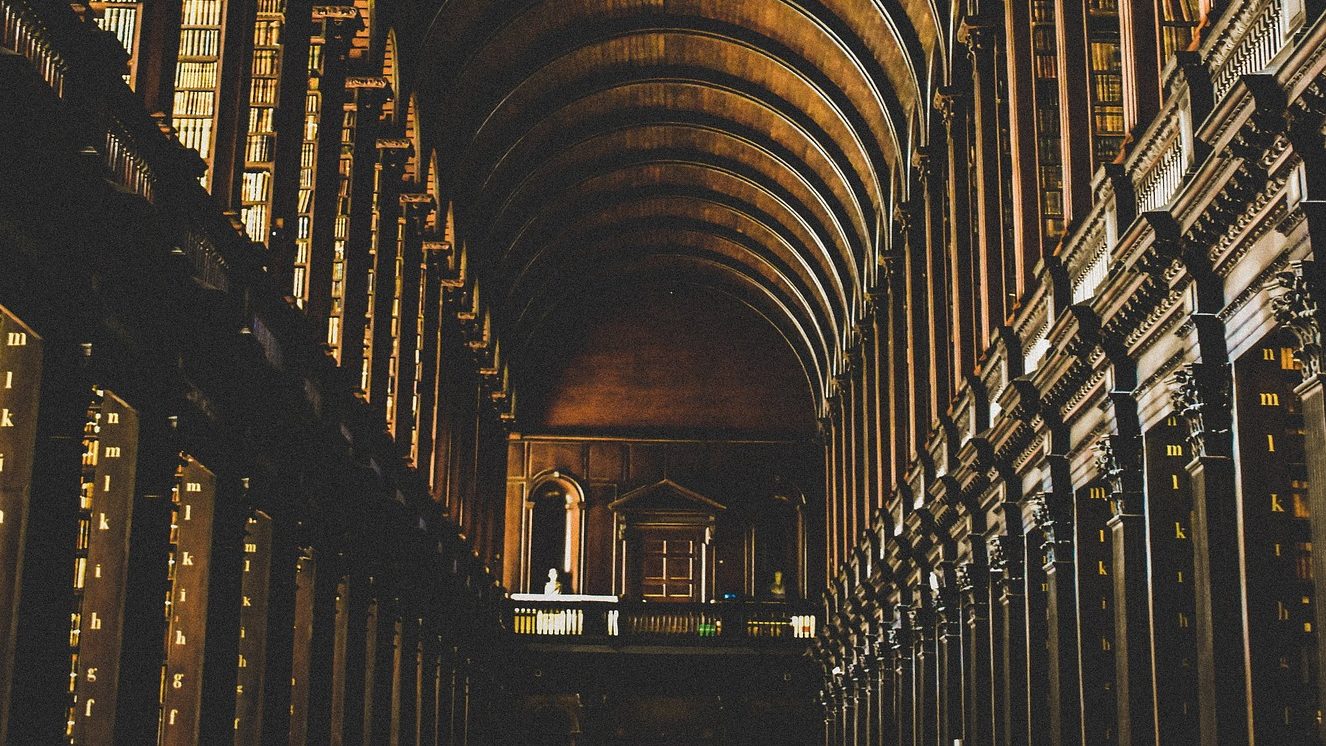 viVige.com - Blog, News und Meinungen